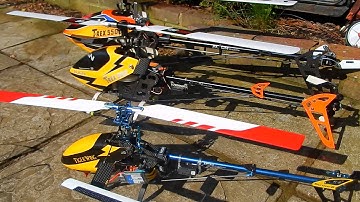 Align Trex size comparison