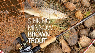 소양강 브라운 송어, 싱킹 미노우 공략, 10피트 베이트 태클, brown trout