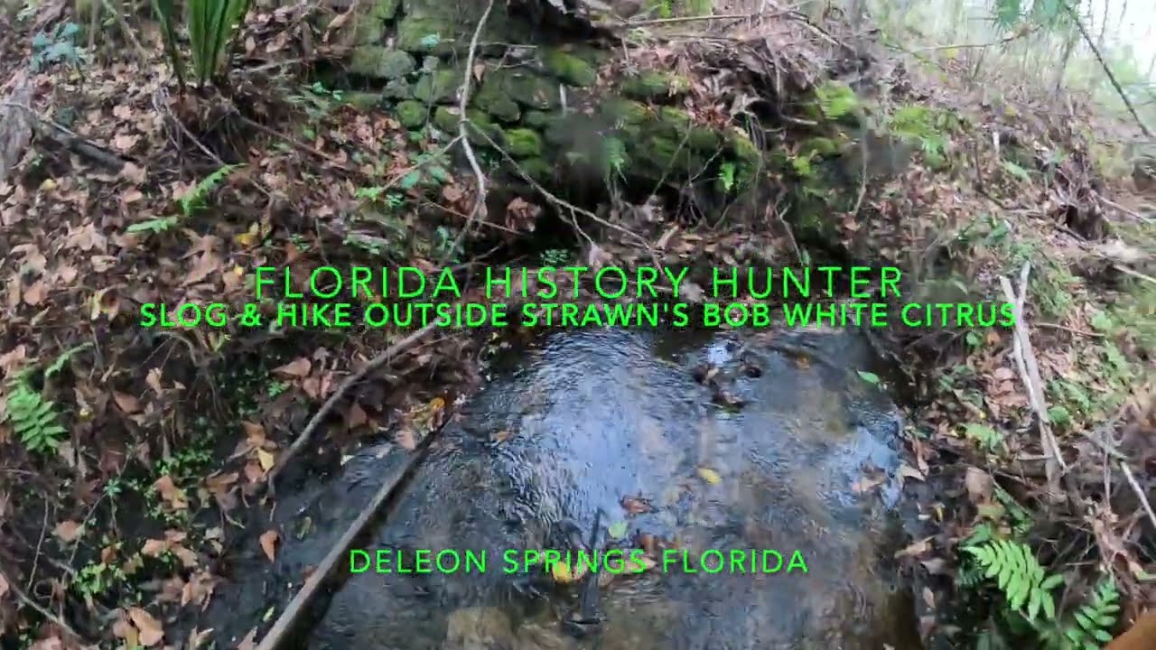 Off Property Explore Strawn's Bob White Citrus Packing Plant 