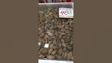 sea shell #asmr #satisfying #yummy #sea #shell