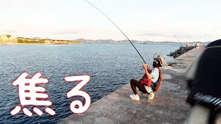 初心者の竿にあたりで尋常じゃないぐらいパニックに【沖縄本島全域釣り対決#4】