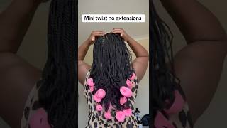 Mini twist no extensions #youtubeshorts #naturalhair #naturalhairstyles #besthairstylist #fypviral