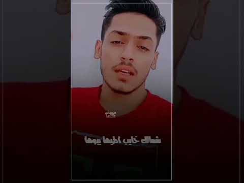 يخايب شمالك اطيها يبوها الشاعر علي عبدالرضا الاسدي ابوذيات حب