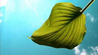 Costa - Lana Gary Afterlife Remix