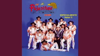 Video thumbnail of "Los Pajaritos de Tacupa - Los Ojitos de Mi Elena"