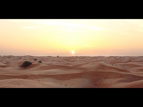 Desert Safari Trip 2018 - YouTube