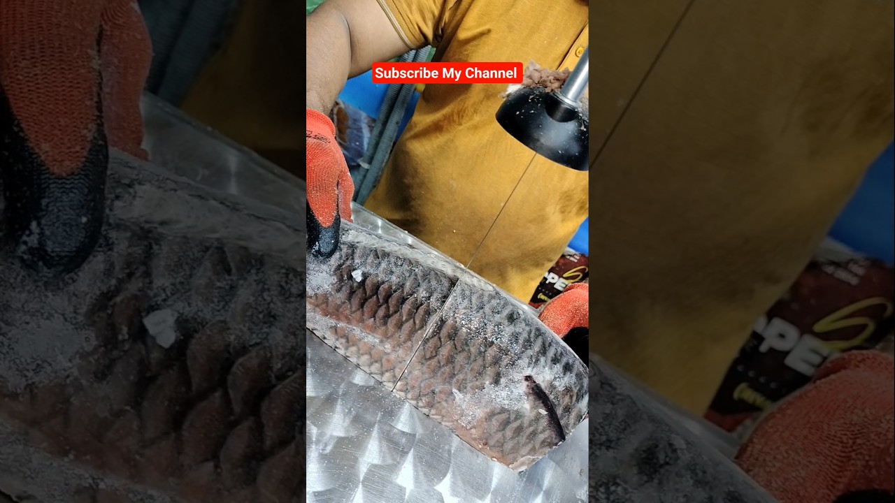 Australia How To Make  Fish Cutting Skills#shorts #viralvideos #fishing #foryouHow to Cut Fish Like