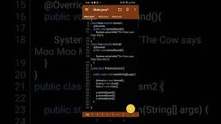MAKE VLOG AND GIVE AN EXAMPLE OF A RUNTIME POLYMORPHISM PROGRAM