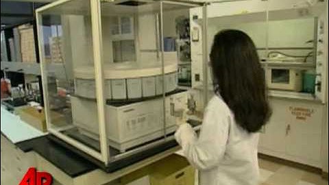 SKorean Firm: Dogs Cloned Using Stem Cells