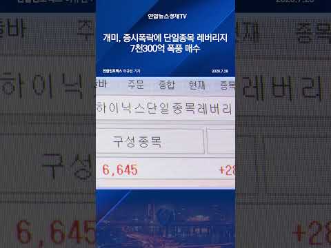 개미, 증시 폭락에 단일종목 <strong>레버리지</strong> 7천300억 폭풍 매수