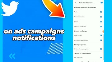 How To Turn On ADS Campaigns Notifications On Twitter App 2023