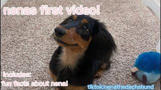 Nenas First Video Including Fun Facts & Bloopers At End