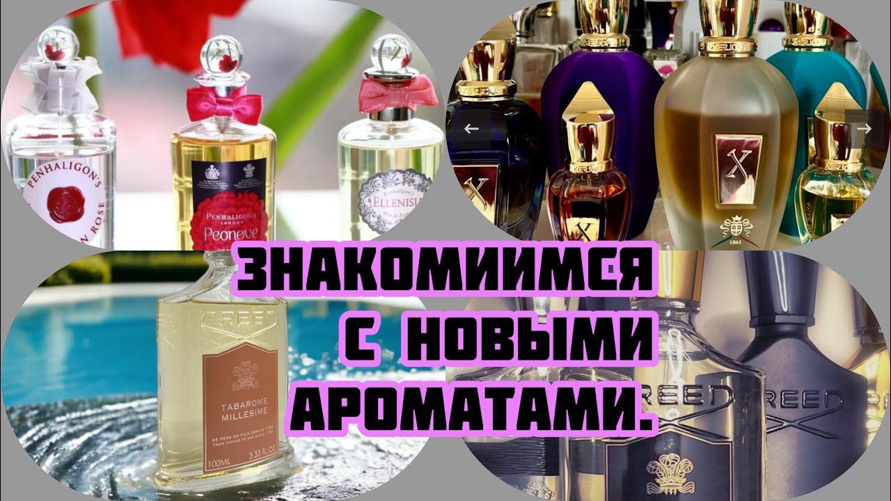 Знакомимся с новыми ароматами.