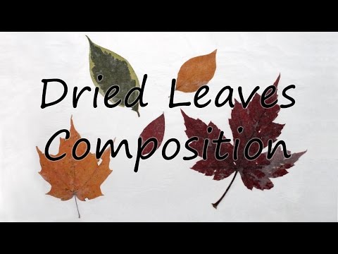 Fall craft with dried leaves