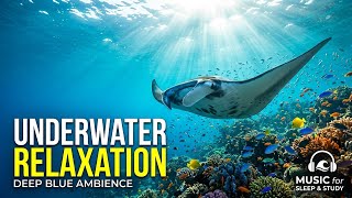 Tranquil Sea Drift 🌊 • Soothing Relaxation Music for Sleep 😌 • Calm Nightwave Echo ✨
