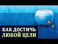 Зона Комфорта. Саморазвитие. Закон Успеха