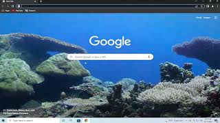 How to Hide Most Visited Pages on a New Tab on Google Chrome [Tutorial]