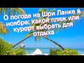 О погоде на Шри Ланке в ноябре: какой пляж или курорт выбрать для отдыха