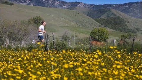 Adjustment Brush Tool Tutorial - Lightroom 3 Video Tutorial