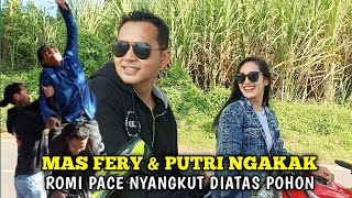 MAS FERY & PUTRI KETAWA SAMPAI NGAKAK GARA-GARA ROMI PACE NYANGKUT DI POHON