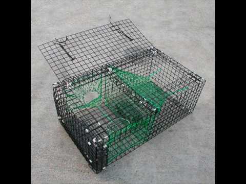 Collection of Lobster Traps, Cuttlefish Traps and Prawn Traps