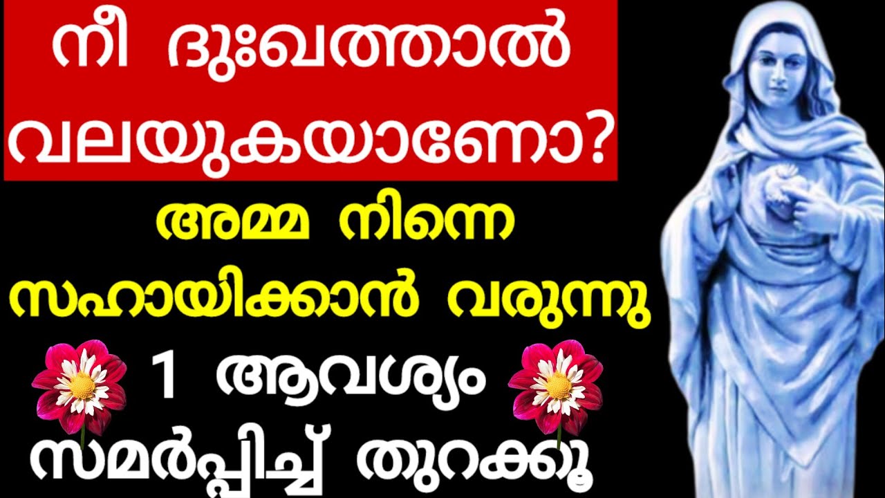 ആരും സഹായിക്കാനില്ലേ? വിഷമിക്കണ്ടാ.. ഇതാ, നിന്റെ അമ്മ വരുന്നു/Mother ...