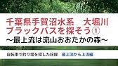 バス釣り 手賀沼水系 大堀川のバス釣り場探検 上流から中流 279号線下 迄 Youtube バス釣り 手賀沼水系 大堀川のバス釣り場探検 上流から中流 279号線下 迄 Youtube