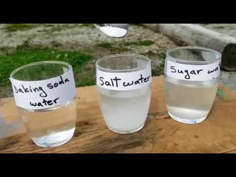 Video: Watering Onions With Salt: How Can You Water Them With Salt Water? Proportions Per Bucket. Why Do You Need Treatment And Feeding With Saline Solution?