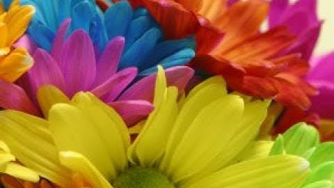 تلاوة عذبة من سورة ق بصوت الطفل صاحب الصوت العذب محمد طه
