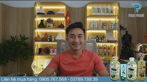 11/12:Thẻ vàng triệu đo định cư Mỹ đã mở, bà Hằng, ông Khoa có tham gia không nè?| Phan Phong TV.
