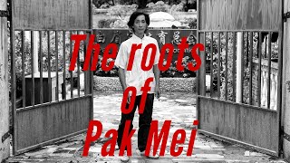 The roots of Pak Mei - Documentary on Siye Lao Wei San 2015