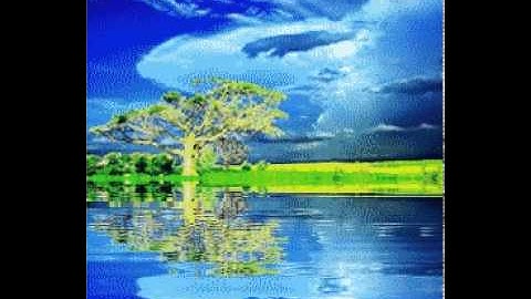 تلاوة رائعة مع الشيخ اسحاق الحويني سورة نوح