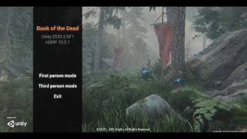 Book of the Dead Unity 2020.2 HDRP Work