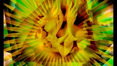 heimatklank - cheesy listening video.mov