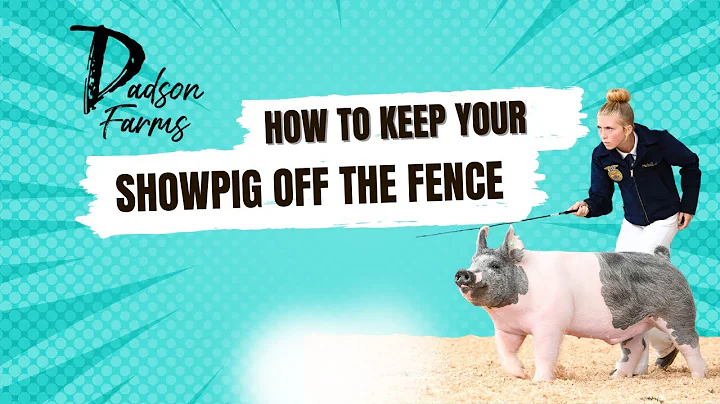 How to keep your showpigs off the fence! #showpig #showpigs