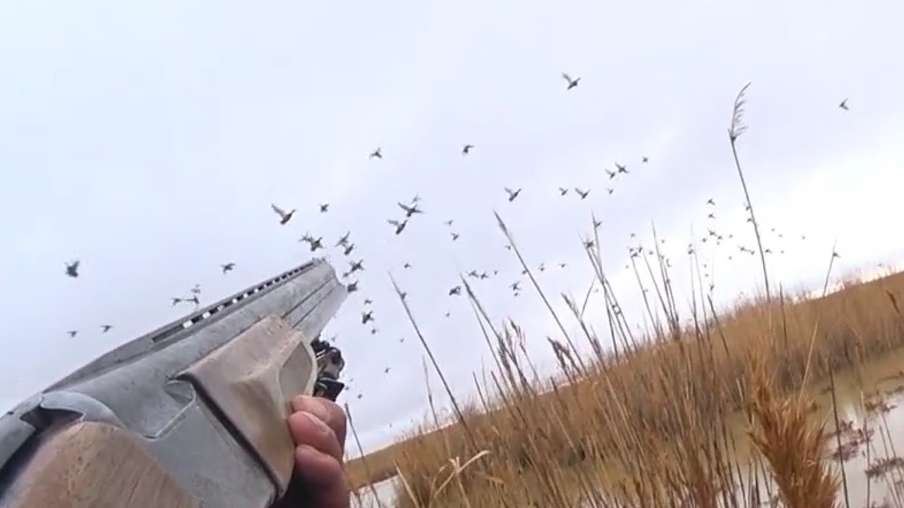 За перелетной сибирской кряквой! полная версия.