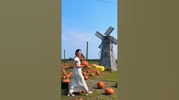 walking across travel transition video easy ideas