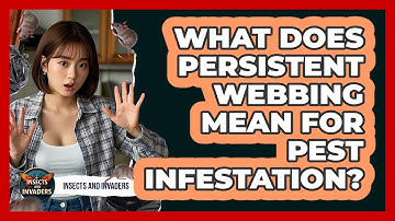 What Does Persistent Webbing Mean For Pest Infestation? - Insects and Invaders