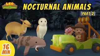 Nocturnal Animals Minisode Compilation (Part 2/2) - Leo the Wildlife Ranger | Animation | For Kids