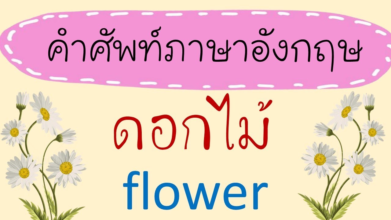 กุหลาบภาษาอังกฤษ  New 2022  คำศัพท์ดอกไม้ ภาษาอังกฤษ Flower