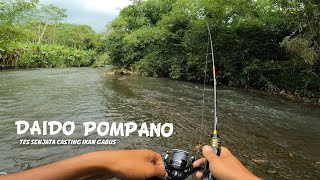 DAIDO POMPANO 1-3LB Ft DAIWA REVROS TG LT 1000 XH // Senjata baru casting ikan gabus screenshot 5