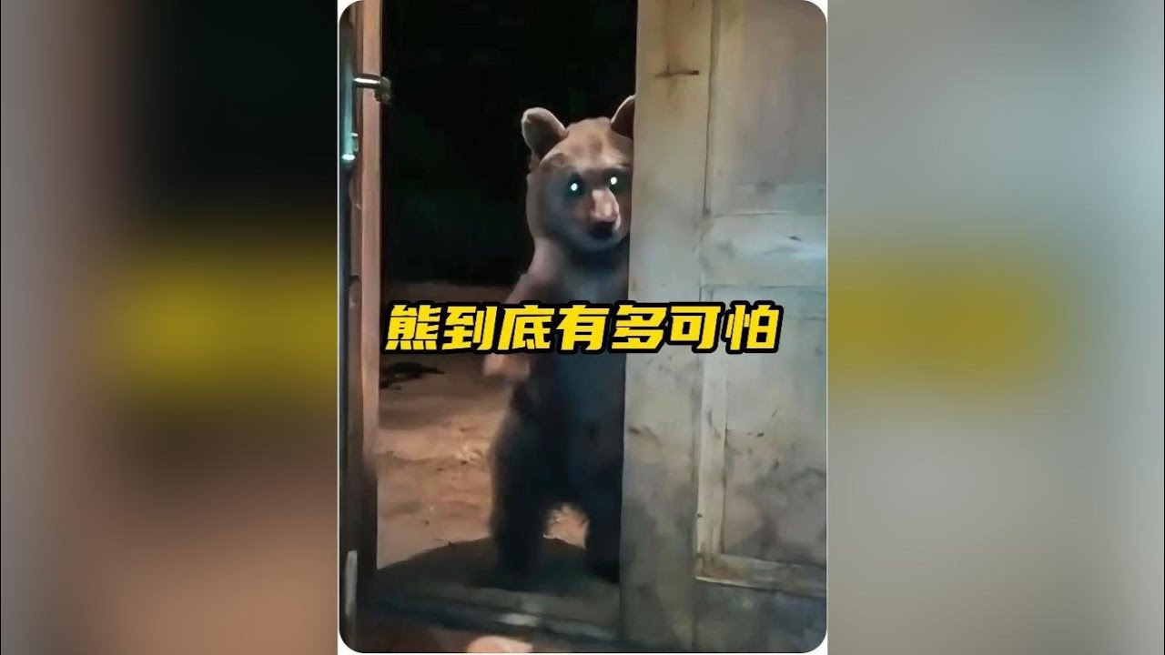 原來熊比你想像中要可怕得多，千萬不要被它憨憨的外表迷惑了！ #熊 #熊有多可怕 #神奇動物