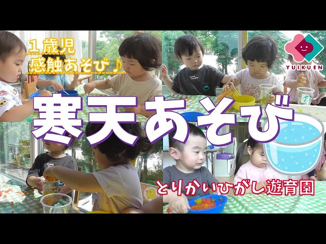 寒天遊び