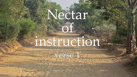 Nectar of instruction - overview - verse 1