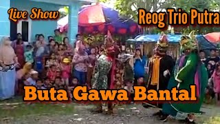 Buta Gawa Bantal || Pagelaran Reog Trio Putra - Pamayahan || Puppet Art And Culture