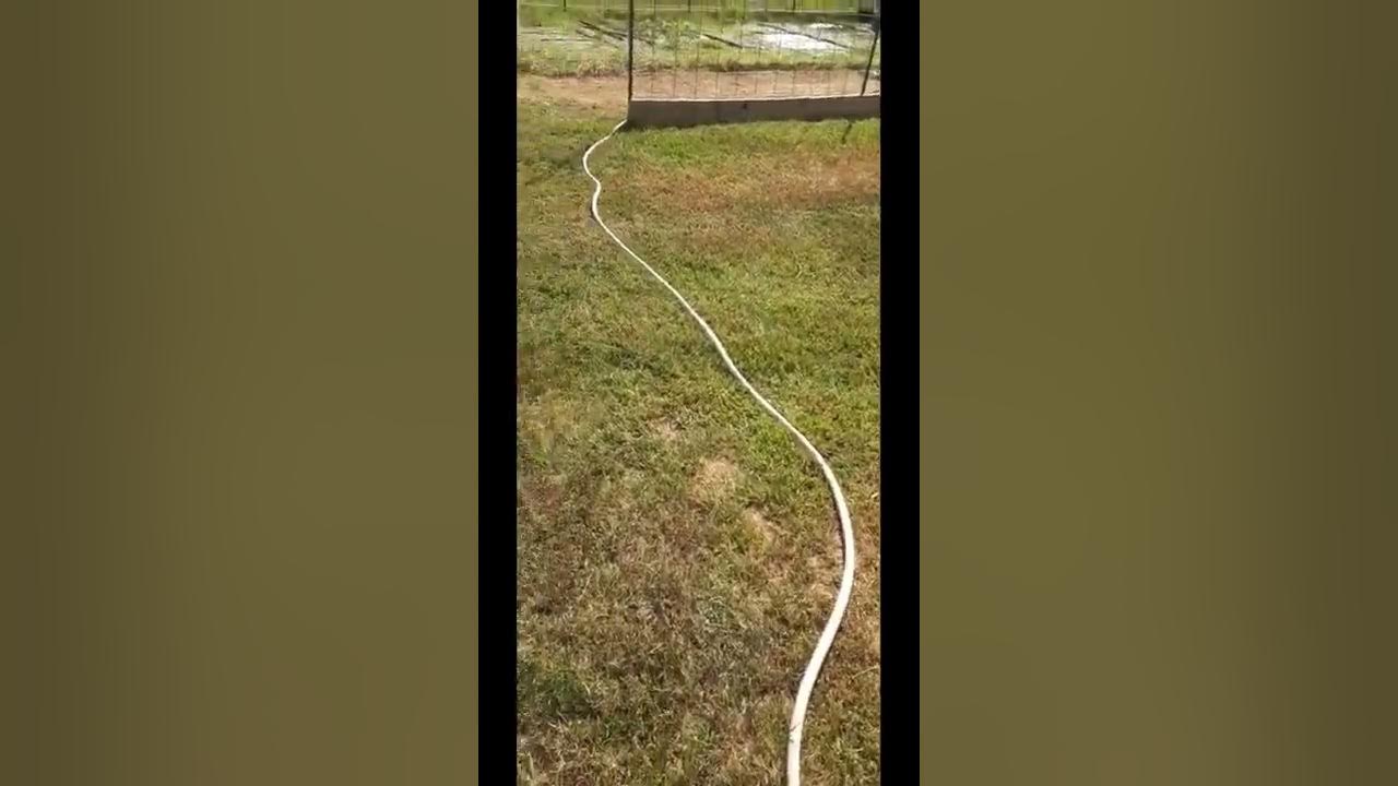 Harbor Freight garden hose review YouTube