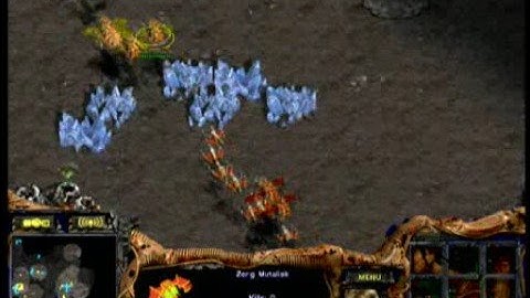 SPL  YellOw[ArnC] vs Jaedong 2008-10-04  @ Neo Requiem