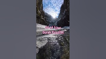 سورة فصلت Surat Fussilat | قرآن كريم| #المصحف #اكسبلور #الشيخ #قرآن