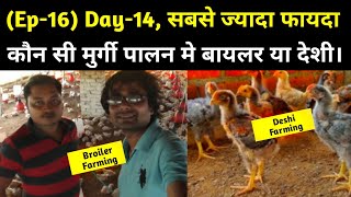 (Ep-16) Day-14 | कौन सी मुर्गी पालन से सबसे ज्यादा मुनाफा | Broiler Farming | Deshi Poultry Farming,