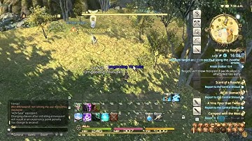 FF XIV ARR - Final Fantasy XIV A Realm Reborn x8 Quest Walkthrough Random Leveling Part 2